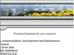 Sites similar to pinched.com