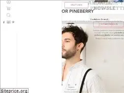 Sites similar to pineberry.ro