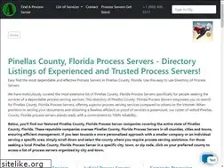 Sites similar to pinellascountyprocessserver.com