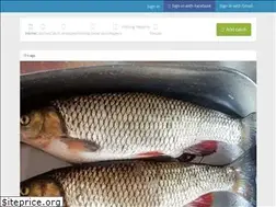 Sites similar to pinfishing.com