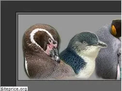 Sites similar to pinguins.info