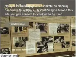 Sites similar to pinigumuziejus.lt
