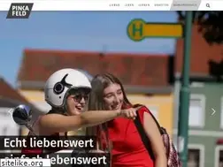 Sites similar to pinkafeld-online.at