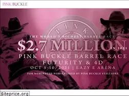 Sites similar to pinkbuckle.com