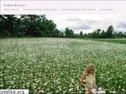 Sites similar to pinkelephantcommunications.com