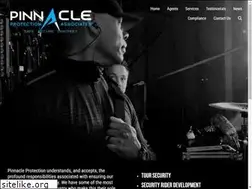 Sites similar to pinnacleprotection.net