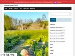 Sites similar to pinosomma.it
