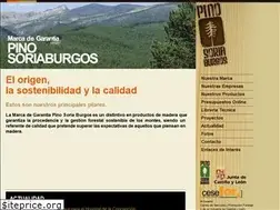 Sites similar to pinosoriaburgos.com