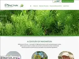 Sites similar to pinovasolutions.com