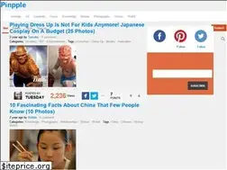 Sites similar to pinpple.com
