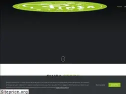 Sites similar to pinsastore.it