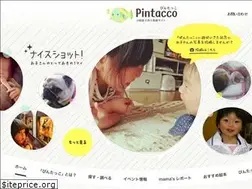 Sites similar to pintacco.net
