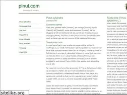 Sites similar to pinul.com