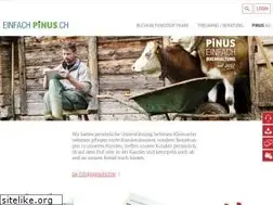 Sites similar to pinus-buchhaltungssoftware.ch