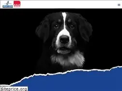 Sites similar to pioneeranimalhospital.com