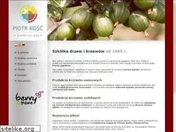 Sites similar to piotrkosc.pl