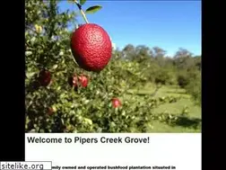 Sites similar to piperscreekgrove.com