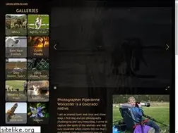 Sites similar to piperspix.com