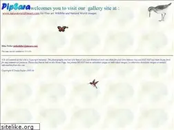 Sites similar to pipsara.com