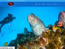 Sites similar to piranhadivemfg.com
