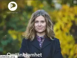 Sites similar to piratpartiet.se