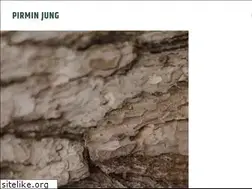 Sites similar to pirminjung.ch