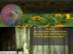 Sites similar to piscatawayindians.com