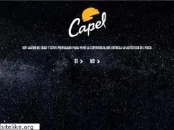 Sites similar to piscocapel.cl