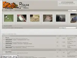 Sites similar to pisi.ee