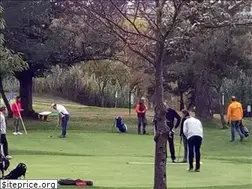 Sites similar to pitchandputtourense.com