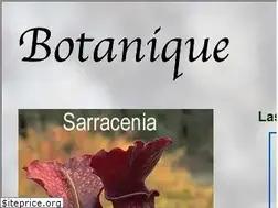 Sites similar to pitcherplant.com