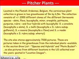 Sites similar to pitcherplants.be
