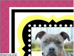 Sites similar to pitlandia.blogspot.com