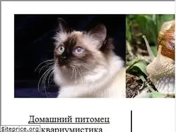 Sites similar to pitomecdoma.ru