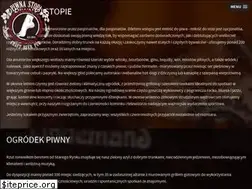 Sites similar to piwnastopa.pl