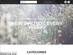 Sites similar to pixambo.com