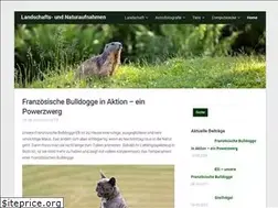 Sites similar to pixelcontainer.net