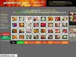 Sites similar to pixelrose.com