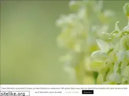 Sites similar to pixelschubla.de