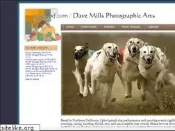Sites similar to pixf.com