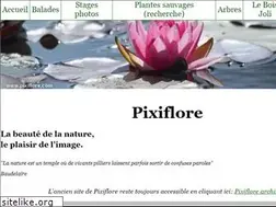 Sites similar to pixiflore.com