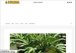 Sites similar to pizquita.com