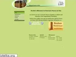 Sites similar to pizzanino.de