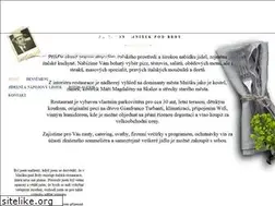 Sites similar to pizzeriaalcapone.cz
