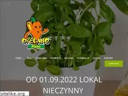 Sites similar to pizzeriaoregano.opole.pl