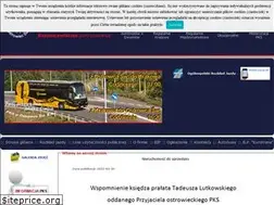Sites similar to pksostrowiec.pl
