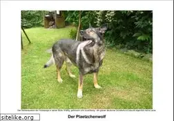 Sites similar to plaetzchenwolf.de