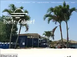 Sites similar to plagepointecalumet.com