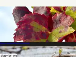 Sites similar to plan-deperissement-vigne.fr