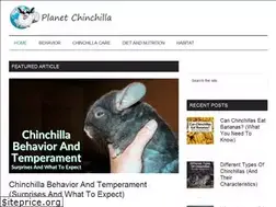 Sites similar to planetchinchilla.com